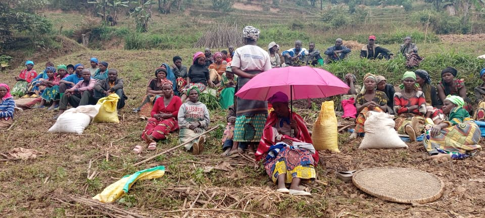 Farmers learning through direct field observation.
